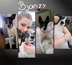 bjanzy Pakketpunt Nina