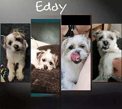 Eddy Pakketpunt Nina